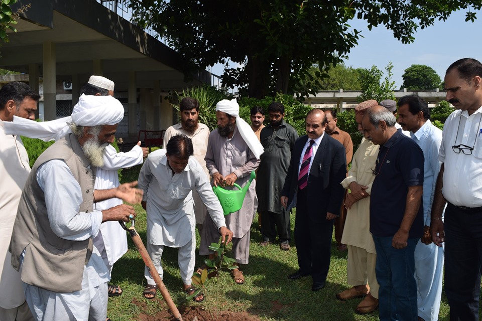 NIH launched a "Tree Plantation Campaign" in connection with Prime